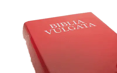 Eine rote Bibel mit dem Wort Bible Vulgata darauf.
